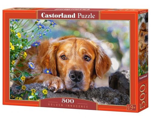 Castorland - Unschuldiger Blick - 500 Teile Puzzle