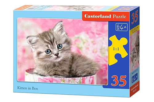 Castorland - Kätzchen im Karton - 35 Teile Puzzle