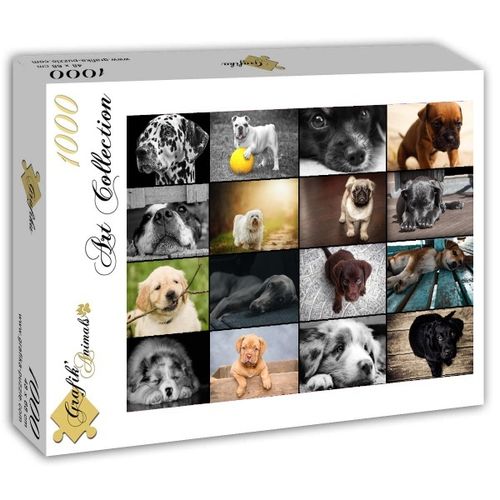 Grafika - Collage Hunde - 1000 Teile