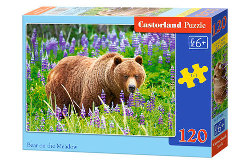 Castorland - Bär auf der Wiese - 120 Teile Puzzle