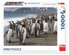 Dino - Penguines of south Georgia - 1000 Teile