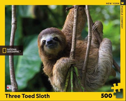 New York Puzzle Company - Three Toed Sloth - 500 XXL-Teile
