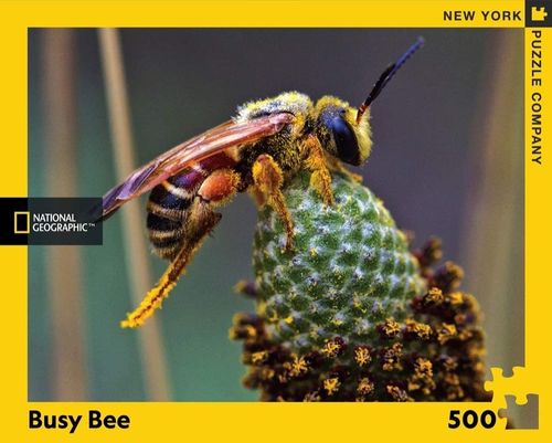 New York Puzzle Company - Busy Bee - 500 XXL-Teile