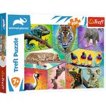 Trefl - In an exotic World - Animal Planet - 200 Teile