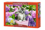 Castorland - Kitten in Basket - 1500 Teile