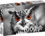 Enjoy Puzzle - Curious Owl - 1000 Teile
