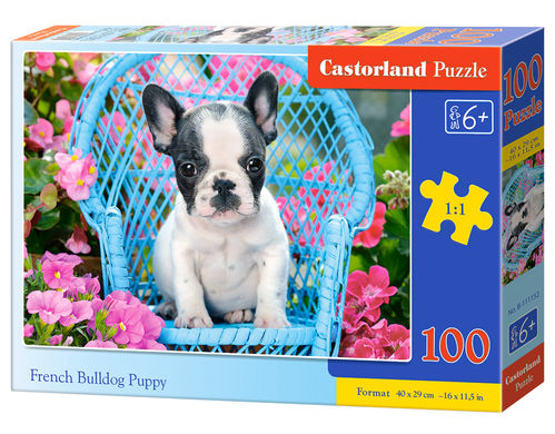 Castorland - French Bulldog Puppy - 100 Teile