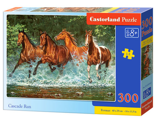 Castorland - Cascade Run - 300 Teile
